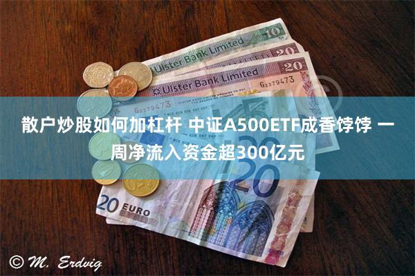 散户炒股如何加杠杆 中证A500ETF成香饽饽 一周净流入资金超300亿元