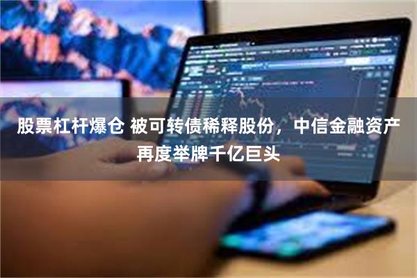 股票杠杆爆仓 被可转债稀释股份，中信金融资产再度举牌千亿巨头
