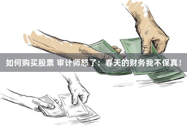 如何购买股票 审计师怒了：春天的财务我不保真！