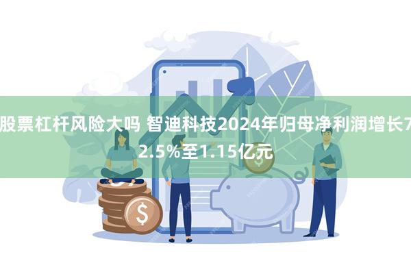 股票杠杆风险大吗 智迪科技2024年归母净利润增长72.5%至1.15亿元