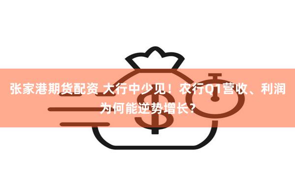 张家港期货配资 大行中少见！农行Q1营收、利润为何能逆势增长？