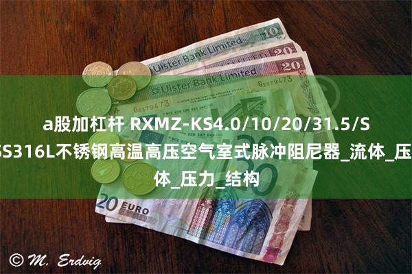 a股加杠杆 RXMZ-KS4.0/10/20/31.5/SS304/SS316L不锈钢高温高压空气室式脉冲阻尼器_流体_压力_结构