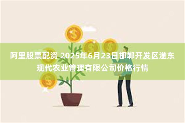 阿里股票配资 2025年6月23日邯郸开发区滏东现代农业管理有限公司价格行情