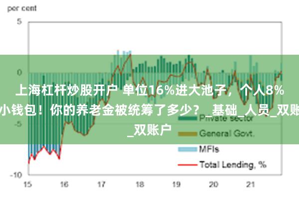 上海杠杆炒股开户 单位16%进大池子，个人8%进小钱包！你的养老金被统筹了多少？_基础_人员_双账户