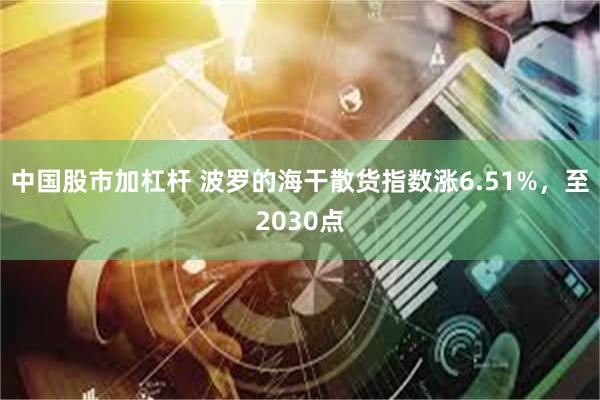 中国股市加杠杆 波罗的海干散货指数涨6.51%，至2030点