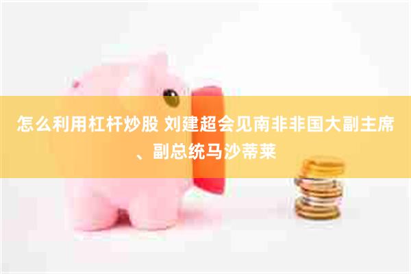怎么利用杠杆炒股 刘建超会见南非非国大副主席、副总统马沙蒂莱