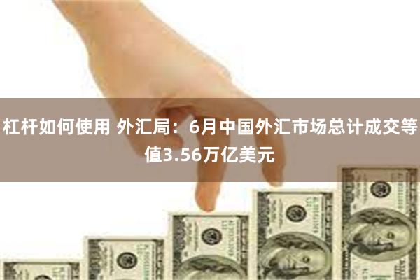 杠杆如何使用 外汇局：6月中国外汇市场总计成交等值3.56万亿美元