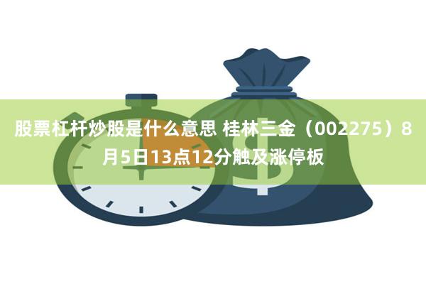 股票杠杆炒股是什么意思 桂林三金（002275）8月5日13点12分触及涨停板