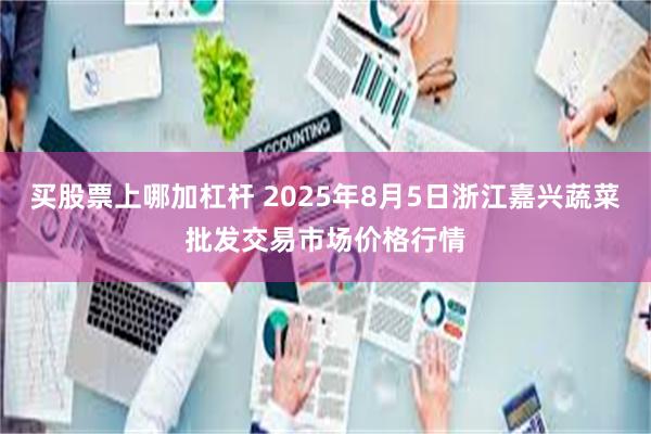 买股票上哪加杠杆 2025年8月5日浙江嘉兴蔬菜批发交易市场价格行情