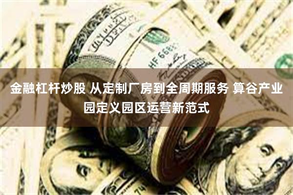 金融杠杆炒股 从定制厂房到全周期服务 算谷产业园定义园区运营新范式