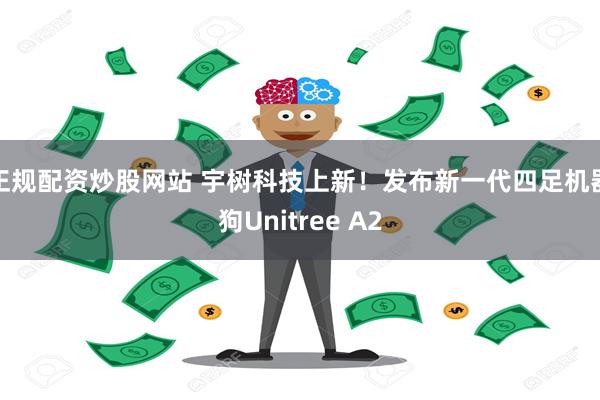 正规配资炒股网站 宇树科技上新！发布新一代四足机器狗Unitree A2