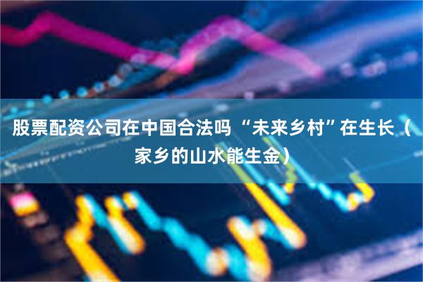 股票配资公司在中国合法吗 “未来乡村”在生长（家乡的山水能生金）