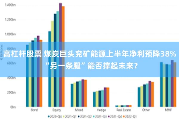 高杠杆股票 煤炭巨头兖矿能源上半年净利预降38% “另一条腿”能否撑起未来？