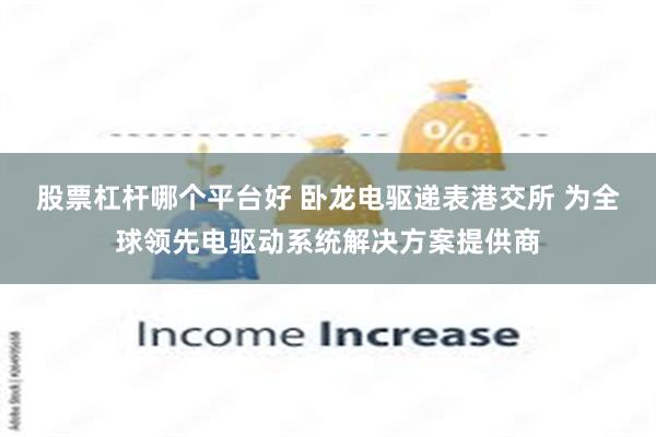 股票杠杆哪个平台好 卧龙电驱递表港交所 为全球领先电驱动系统解决方案提供商