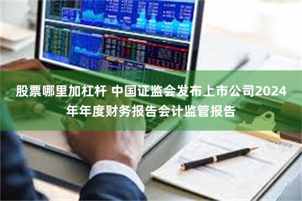 股票哪里加杠杆 中国证监会发布上市公司2024年年度财务报告会计监管报告